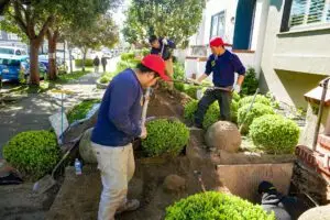how much does trenchless sewer replacement cost?