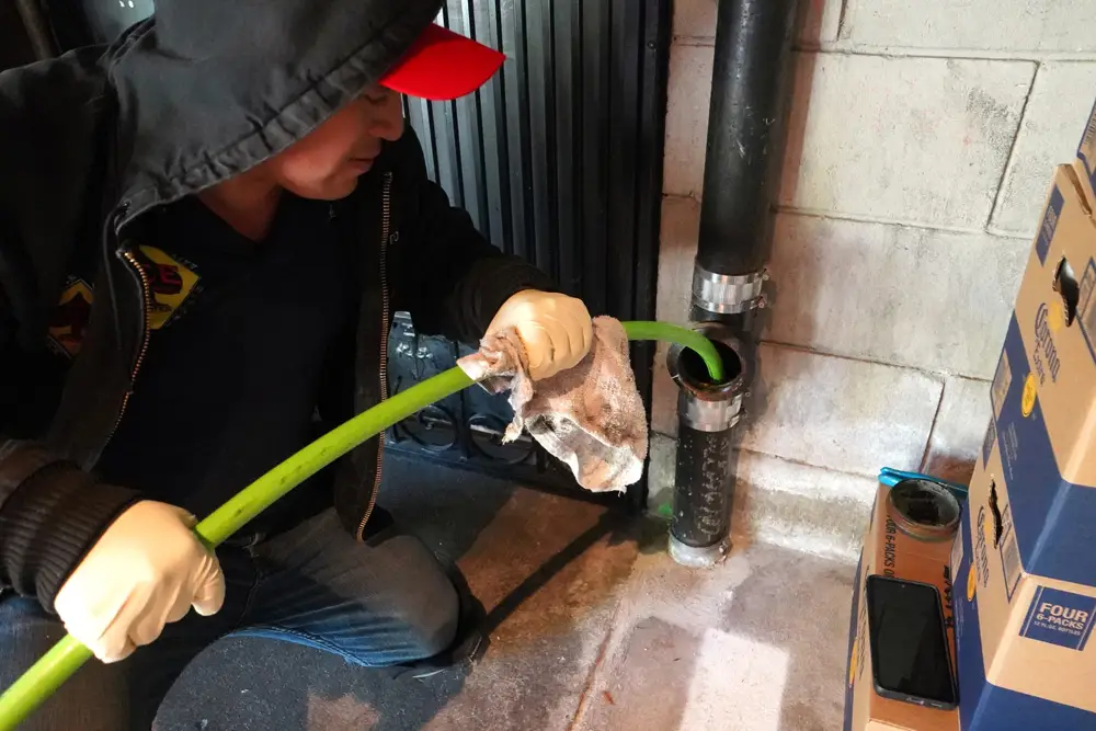 sewer line cleaning SF